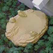 Bird Splash Guard