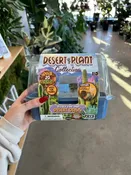 Desert Plant Grow Kit — Urban Planting Cleveland