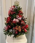 BEAUTIFUL BOXWOOD TREE
