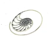 Ammonite Scroll
