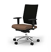 BFG Plaza Task Chair