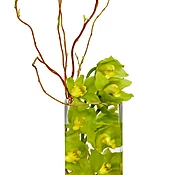 Underwater Orchids by citywide florist nyc