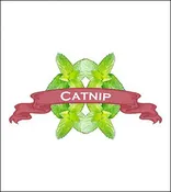 Catnip Seed. Organic Catnip. Heirloom. Pkt.