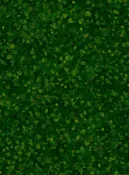 Dabble Paint Drops 118" - Dark Green