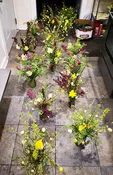 10 Week CSA Flowershare 2025