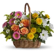 Sweet Tranquility Basket by Teleflora
