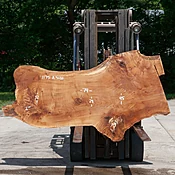 Oak Slab No. 1175