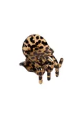 Mini Claw (Cougar)