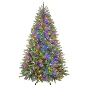 6.5′ Kensington Fir