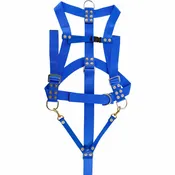 Divers Safety Harness
