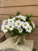 Daisy! Daisy! — Sunset Gardens Greenhouse & Floral