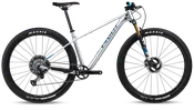 Pivot LES SL | Pro X0 AXS Eagle Transmission w/ Carbon Wheels | SILVER