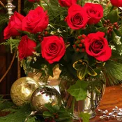 Classic Red Roses