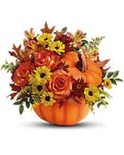AUTUMN LID PUMPKIN