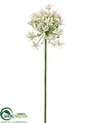 Silk Plants Direct Agapanthus Spray - Cream - Pack of 6
