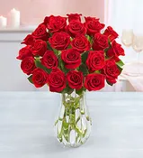 2 Dozen Red Roses with Vase — Minervas Flowers