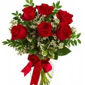Half Dozen Roses