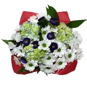 A Breeze of Love Get Well 15 stems