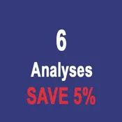 6 ANALYSES INTERNATIONAL