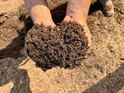 Brown Mulch – Houston Delivery | Hardwood Mulch
