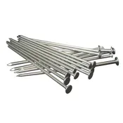 6" Turf Spikes, 5 lb box