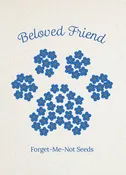 A Beloved Friend - Forget Me Not Seed Packets