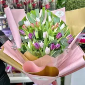 Deep Love Tulip wrapped