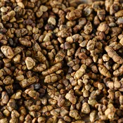 Cardamom Seeds - Organic
