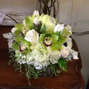 White Rose Cymbidium Pave