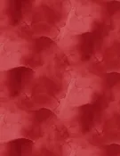 108" Watercolor Texture Wide Back - Red