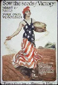 Victory Garden Kit