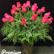 Classic Hot Pink Roses