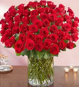 5 Dozen Red Rose Vase With Babies Breath & Greens