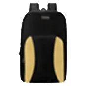 17" Backpack