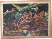 Baby Fawn Birthday Card
