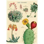 Cavallini Vintage Poster - Cacti &amp; Succulents 2