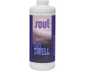 Aurora Soul Big Swell Qt — EcoGarden Supply