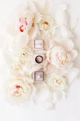 Rose Petals | Flower Delivery San Francisco