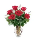 1/2 DOZEN ROSES