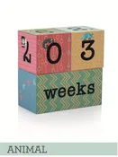 Baby Milestone Blocks, Set of Cubes, Decor for your pictures by Baby Tales