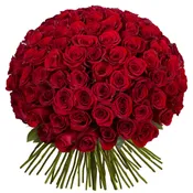 101 Roses