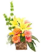 AMBER LILIES