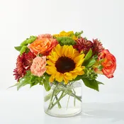 Autumn Expression
