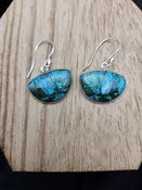 Chrysocolla Malachite Earrings — Sunshine and Company