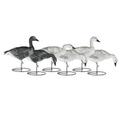 MIGRATION SERIES JUVIES