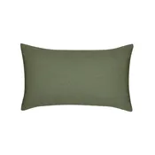 Canvas Fern Essentials | 12"x20"