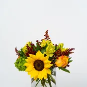Our Holiday Collection: Falling in Love