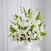 The FTD® Morning Stars™ Arrangement   S2-4438
