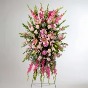 Compassionate Standing Spray Your Choice Of Colors
