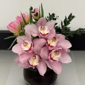 Bloom0416